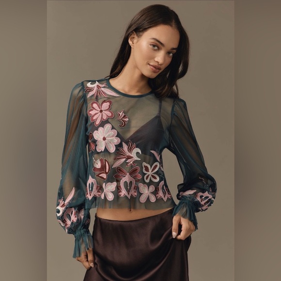 Anthropologie Tops - NWT By Anthropologie Embroidered Embroidered Mesh Blouse